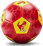 Fußball Spielzeug Mit Ballpumpe und Netz, Fussball Kinder Ball für das Training Drinnen Draußen,...